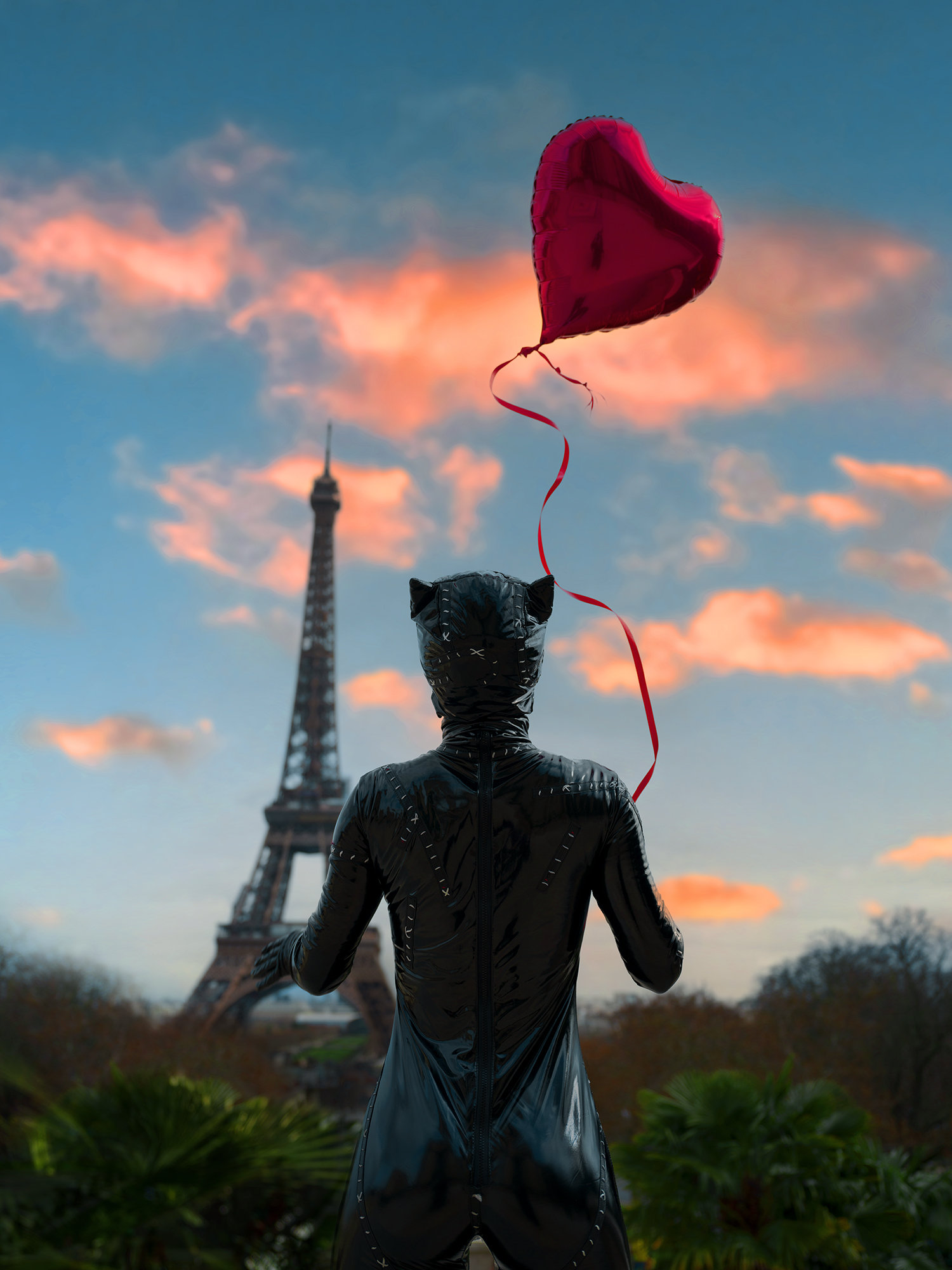 Cats Escape. From Paris Wit — Sebastian Magnani
