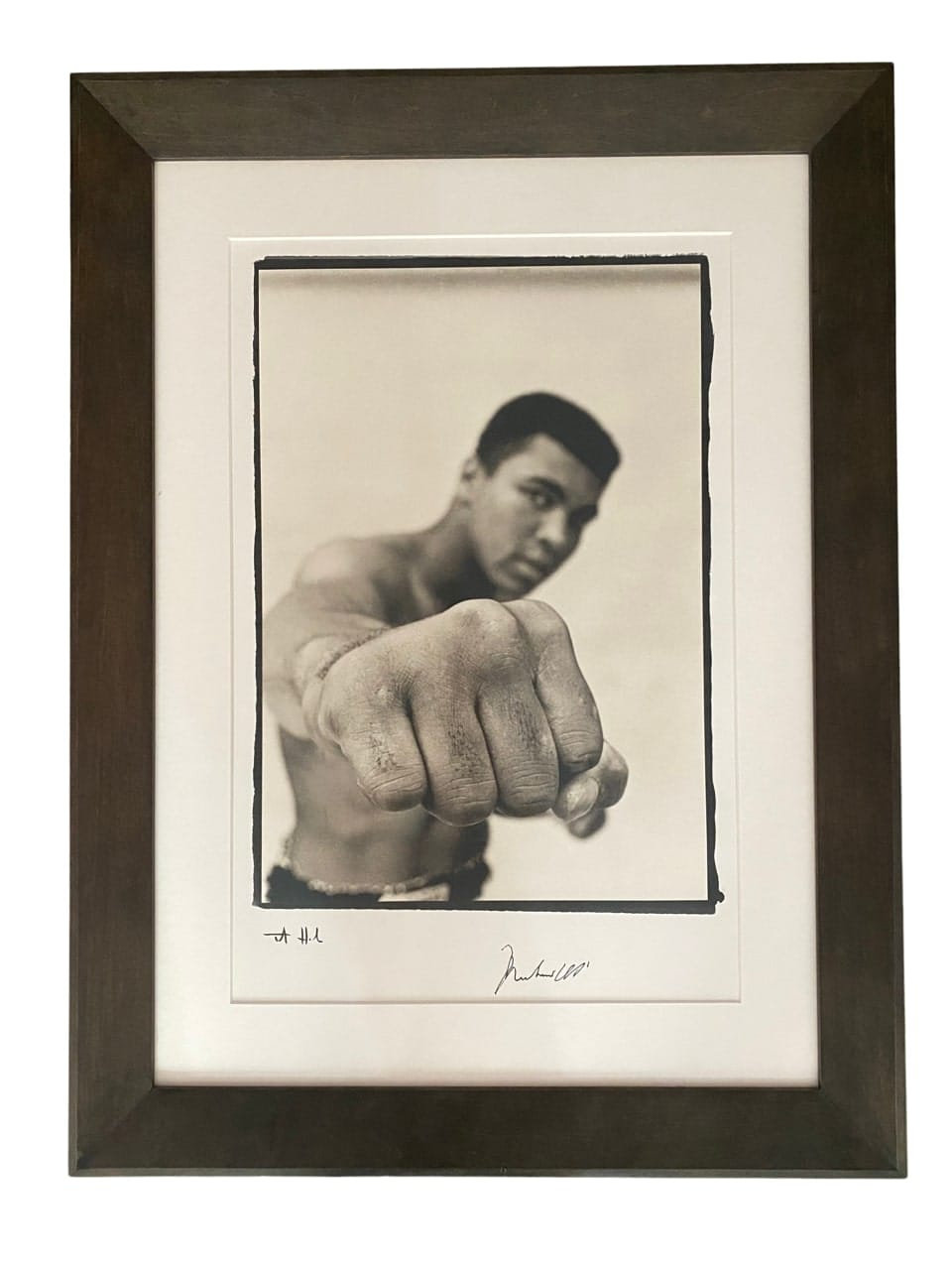 The Champ  Muhammad Ali showi