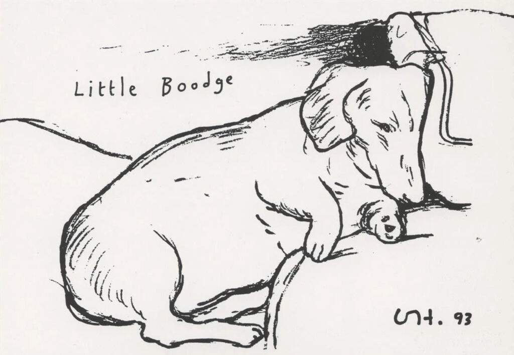 Little Boodge